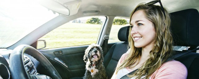 什么是倒车影像(什么是倒车影像系统)