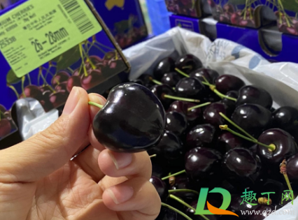 科迪亚车厘子是哪个国家的(科利亚车厘子是哪个国家) 科迪亚车厘子是哪个国家的(科利亚车厘子是哪个国家)