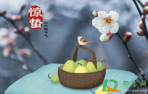 惊蛰之后是正月还是2月(惊蛰过后是几月) 惊蛰之后是正月还是2月(惊蛰过后是几月)