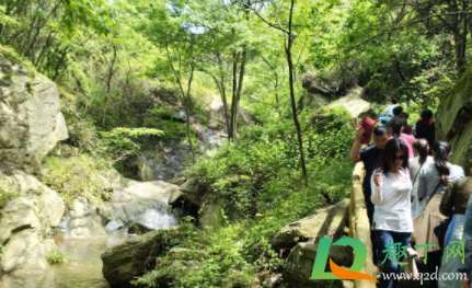 武汉木兰云雾山春节闭园真的假的2021(武汉木兰云雾山风景区)