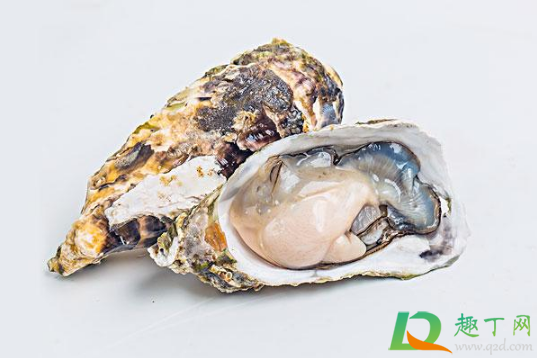 生蚝内脏在哪里怎么去除(生蚝里面内脏怎么清理)