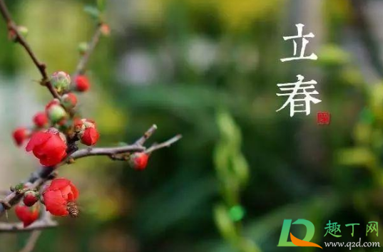 躲春的时候能看手机和电视吗(躲春不可以看手机吗)