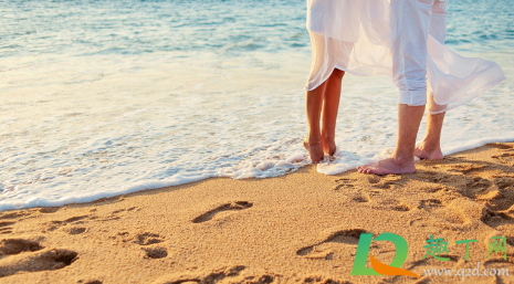 朱砂痣是什么梗(朱砂痣到底是什么意思)