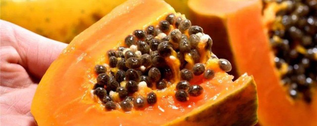 木瓜的吃法(木瓜的吃法能生吃吗)