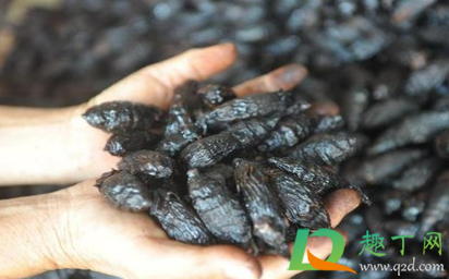 吃槟榔会脸部变形吗(吃槟榔脸变形了能变回来嘛) 吃槟榔会脸部变形吗(吃槟榔脸变形了能变回来嘛)