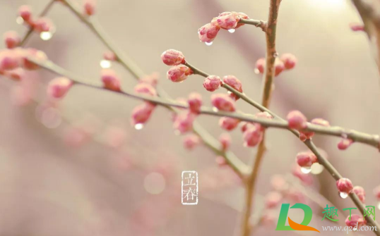 躲春的时候能看手机和电视吗(躲春不可以看手机吗)