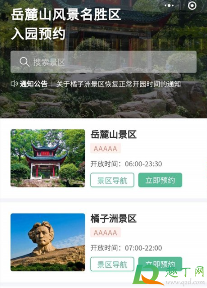 今年橘子洲的腊梅什么时候开2021(2021橘子洲头梅花开了吗)