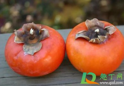 吃完柿子喝酸奶死人是真的吗(吃完柿子喝牛奶死人是真的吗) 吃完柿子喝酸奶死人是真的吗(吃完柿子喝牛奶死人是真的吗)