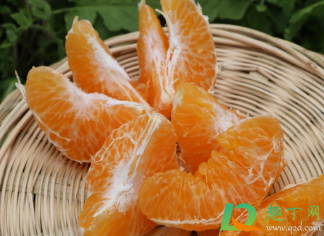 耙耙柑能放冰箱冷藏吗(耙耙柑要不要冷藏)