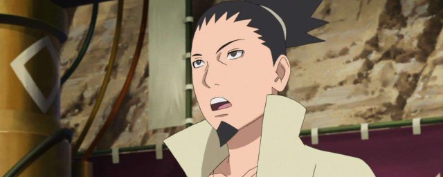 忍考试集数介绍(忍者考试第几集)