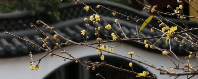 养护过程(养护过程中异常情况的处理)