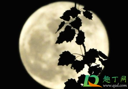 大年三十的晚上一定看不到月亮吗(年三十的晚上无论如何都不会看见月亮)