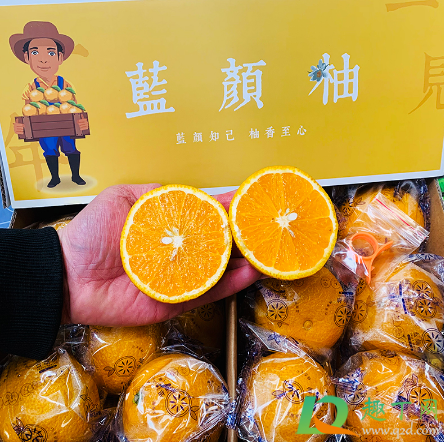 蓝颜柚是橙子还是柚子(甜橙柚是橙子还是柚子) 蓝颜柚是橙子还是柚子(甜橙柚是橙子还是柚子)