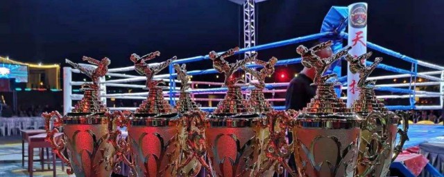 节目简介(经典诵读节目简介)