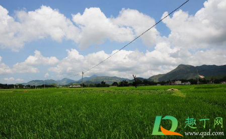 2021端午节一般气温多少度(2021端午节是哪几天) 2021端午节一般气温多少度(2021端午节是哪几天)