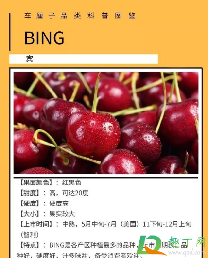 什么叫纯冰车厘子(拉宾斯和纯冰车厘子)