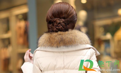 貉子毛领不顺怎么办(貉子毛领变色了怎么办)