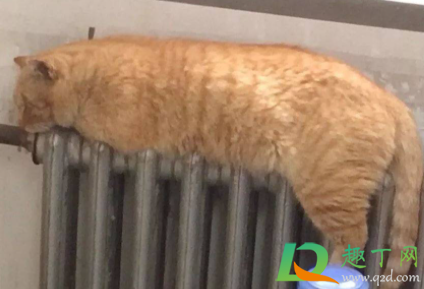 拆一组暖气片多少钱(装修拆下来的暖气片能卖多少钱)