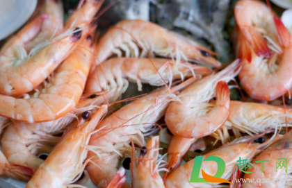 海虾怎么冻新鲜不变黑(虾如何冷冻不变黑) 海虾怎么冻新鲜不变黑(虾如何冷冻不变黑)