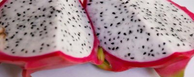 孕妇是否可以吃火龙果(怀孕妇可以吃火龙果吗)