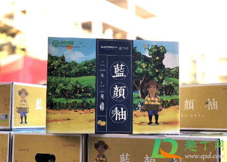 蓝颜柚孕妇可以吃吗(青柚孕妇能不能吃)