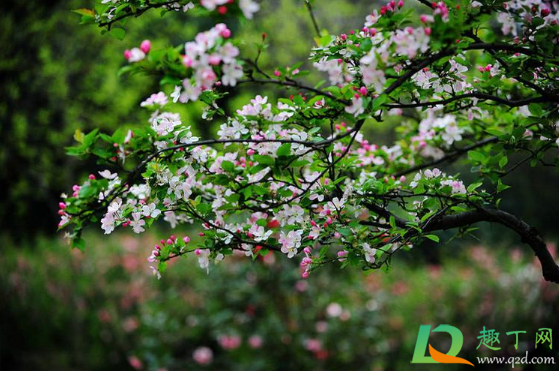 2021年打春是哪一天哪一个时辰(2021年打春那天是几点)