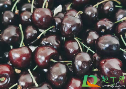 桑缇娜JD车厘子是什么意思(车厘子桑迪娜JD)