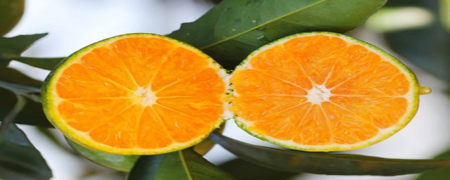 多吃对人体有好处(多吃有好处吗)