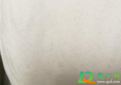 白衣服粘毛干了会掉吗(衣服上粘了毛毛怎么办)