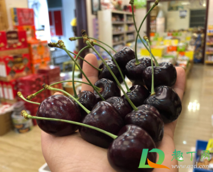 科迪亚车厘子和智利车厘子哪个好(智利车厘子和桑迪那车厘子区别)