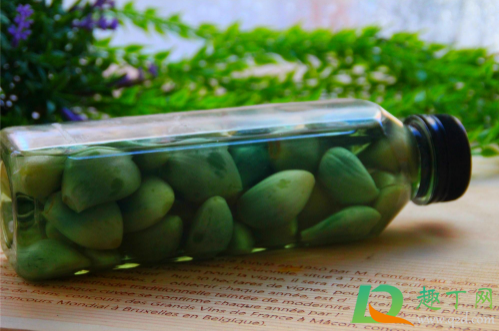 腊八蒜放室内还是室外(腊八蒜放在阳光下还是放在阴凉处)