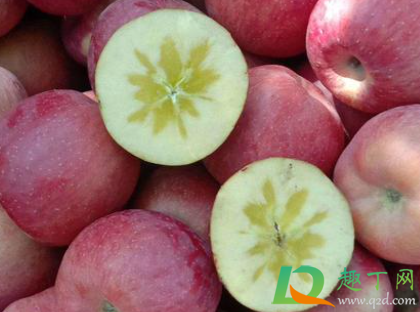 哪种苹果有糖心(有糖心的苹果正常吗) 哪种苹果有糖心(有糖心的苹果正常吗)