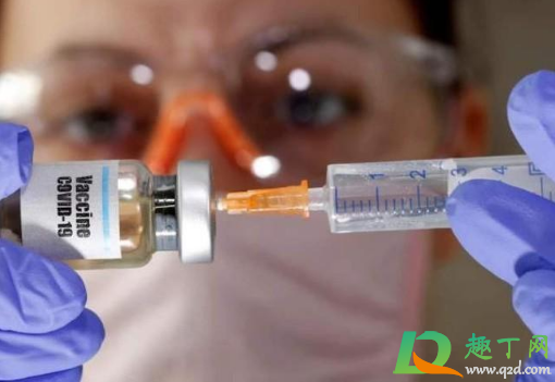 新冠疫苗必须在本地打吗(新冠疫苗必须要在本地打吗) 新冠疫苗必须在本地打吗(新冠疫苗必须要在本地打吗)