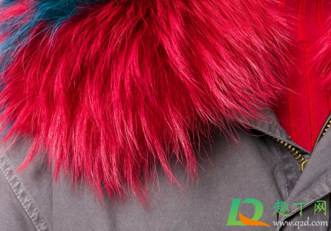 派克内胆掉毛是不是不好的质量(派克服内胆长毛好,还是短毛好) 派克内胆掉毛是不是不好的质量(派克服内胆长毛好,还是短毛好)