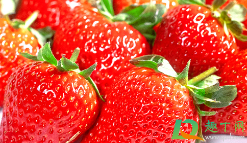草莓用盐水泡要泡多少时间(草莓泡盐水泡多久合适) 草莓用盐水泡要泡多少时间(草莓泡盐水泡多久合适)