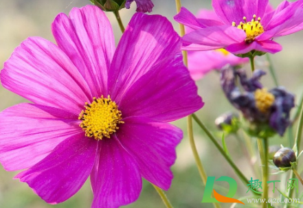 2021年四月份冷不冷(2021年4月好冷) 2021年四月份冷不冷(2021年4月好冷)