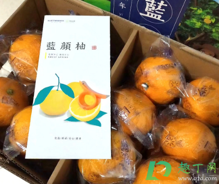 蓝颜柚是什么东西(蓝颜柚好吃吗) 蓝颜柚是什么东西(蓝颜柚好吃吗)