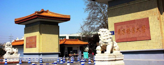南京林业大学的介绍(南京林业大学院系介绍)