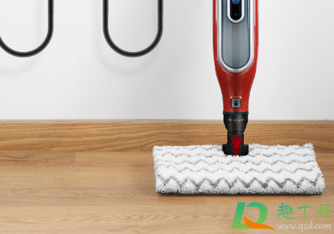 蒸汽拖把真的可以杀菌吗(蒸汽拖把有用吗?)
