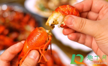吃虾壳会不会划伤肠胃(吃虾不剥壳会伤害肠胃吗)