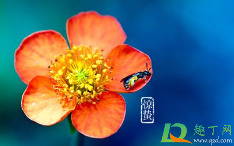 2021年惊蛰是几九第几天(2021年的惊蛰是几点) 2021年惊蛰是几九第几天(2021年的惊蛰是几点)