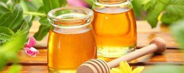 既养生又营养(营养与养生的区别)