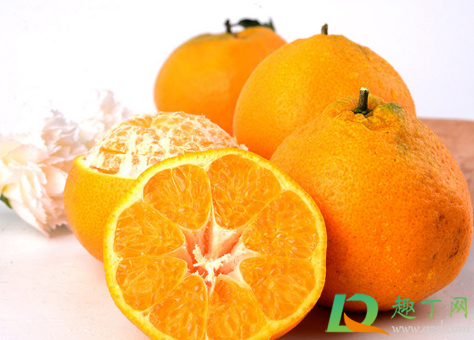 耙耙柑能放冰箱冷藏吗(耙耙柑要不要冷藏)