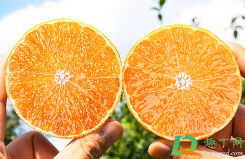 橙子水搞到衣服上用什么能洗掉(衣服上的橙子水怎么去掉)