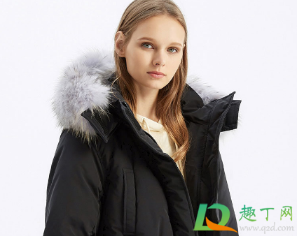 派克服内胆有内衬好还是没有好(派克服内胆什么材质的好) 派克服内胆有内衬好还是没有好(派克服内胆什么材质的好)