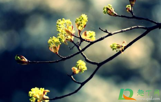 躲春是在家里还是外面(躲春必须在自己家里吗)