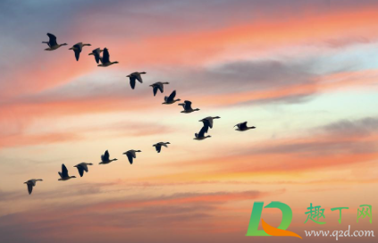 2021春占是什么时候(2021年是什么春) 2021春占是什么时候(2021年是什么春)