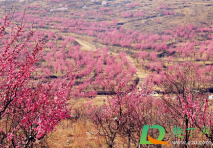 2021春占是什么时候(2021年是什么春) 2021春占是什么时候(2021年是什么春)