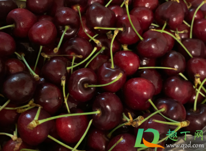 桑缇娜JD车厘子是什么意思(车厘子桑迪娜JD)