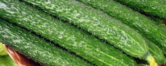 黄瓜有何功效(黄瓜的功效?)